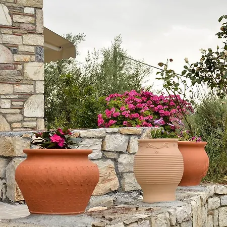 Ellinas Homes דירה Megali Mantineia