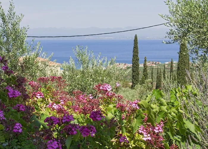 Apartament Ellinas Homes *